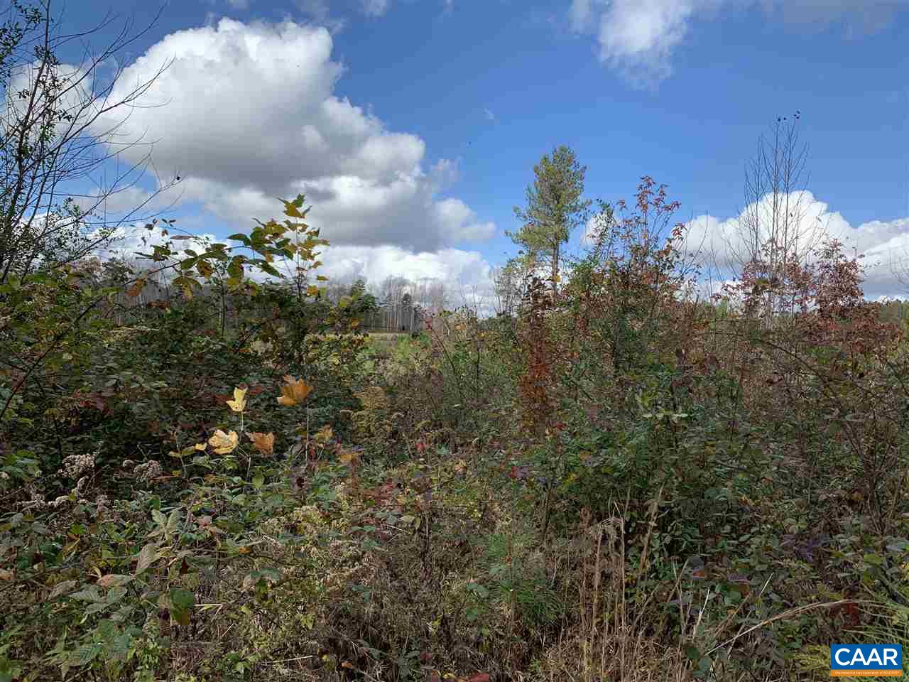 0 Transco Road Scottsville, VA 24590 - Photo 6 of 8 Gallery Image 6