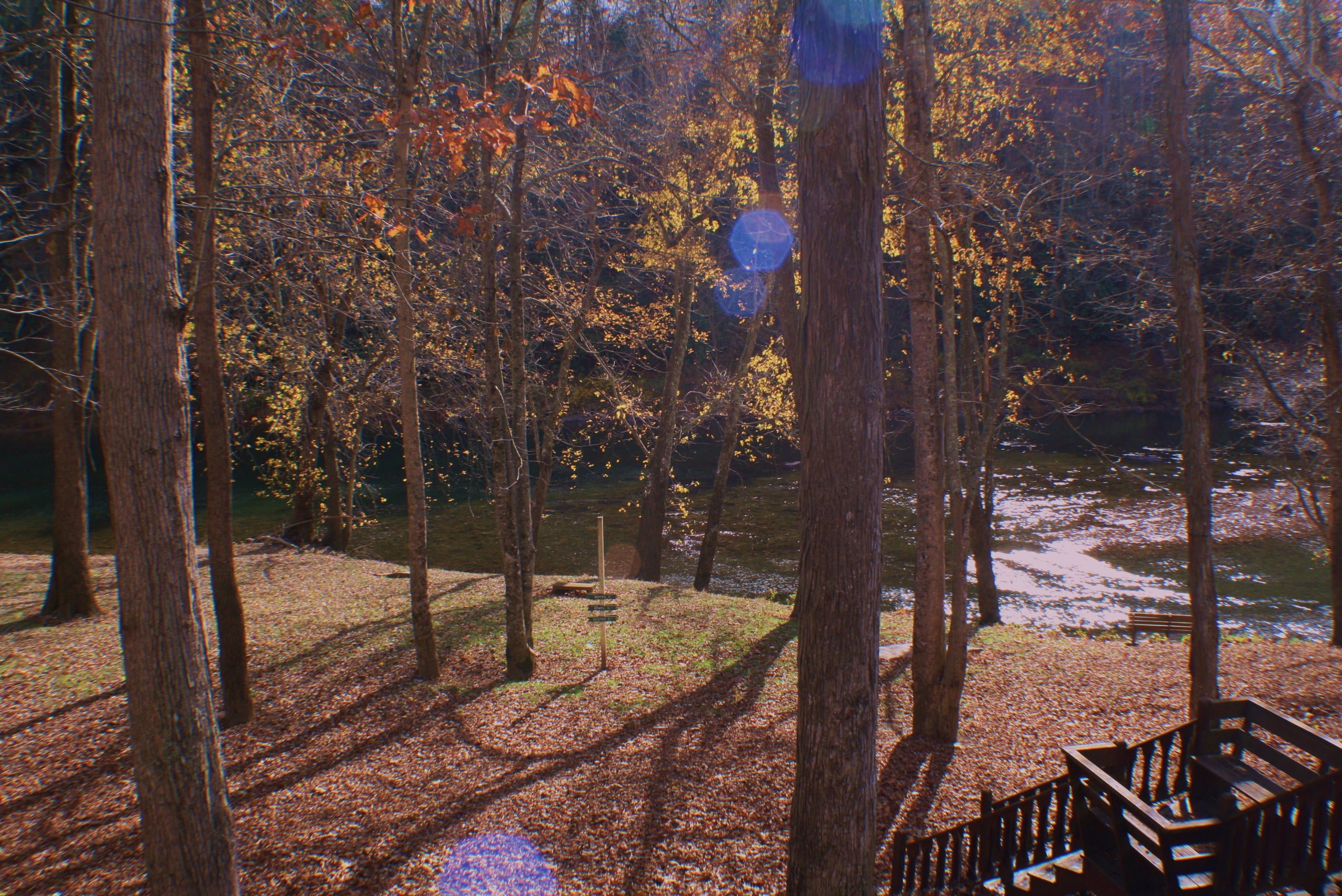 Anthony Meadows Road Frankford, WV 24938 - Photo 22 of 22 Gallery Image 22
