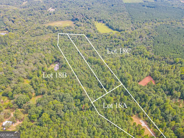 a view of a forest with a house