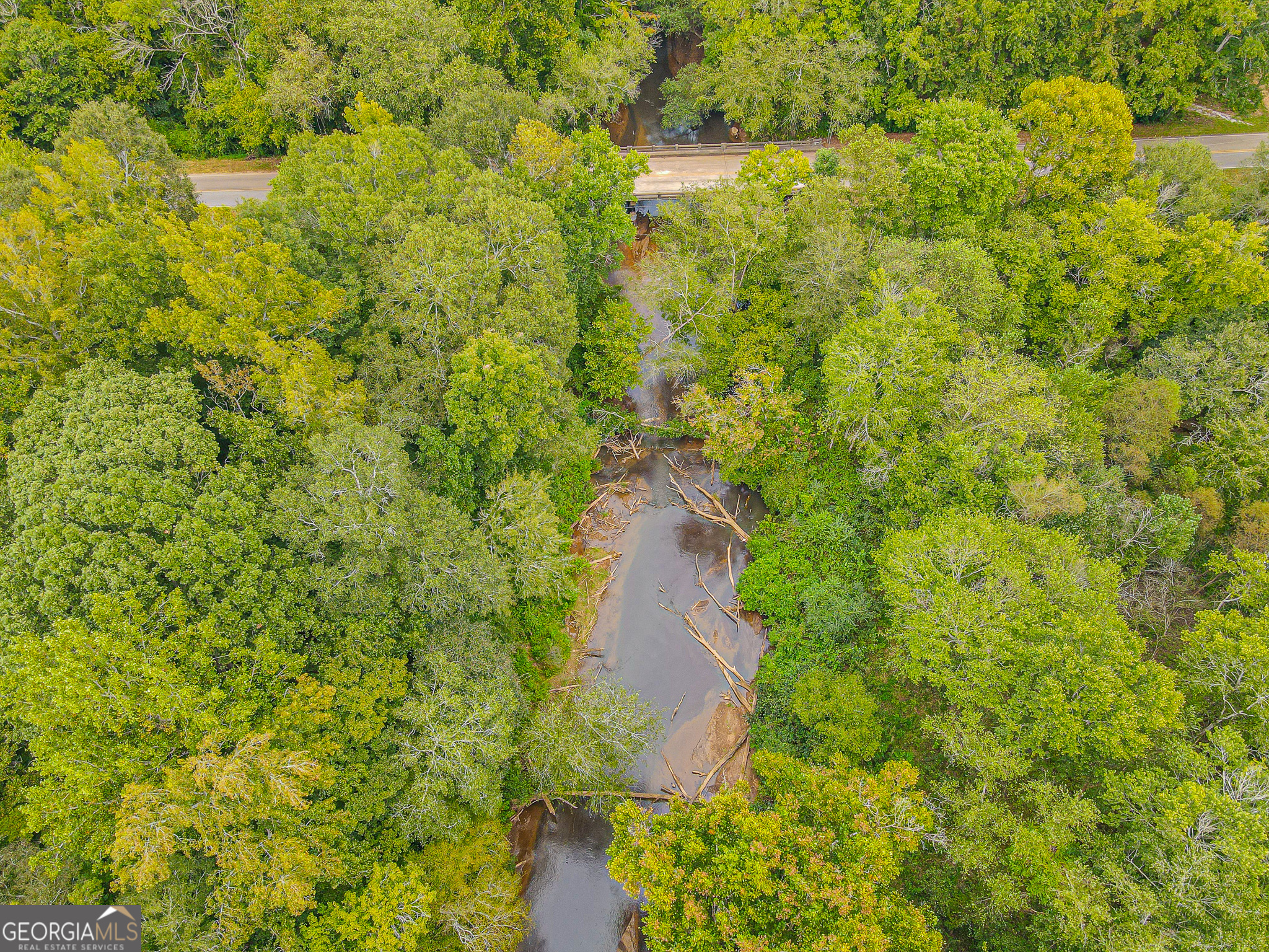 0 Freedom Lane, Unit 18B Commerce, GA 30530 - Photo 3 of 17 a view of a forest with a house