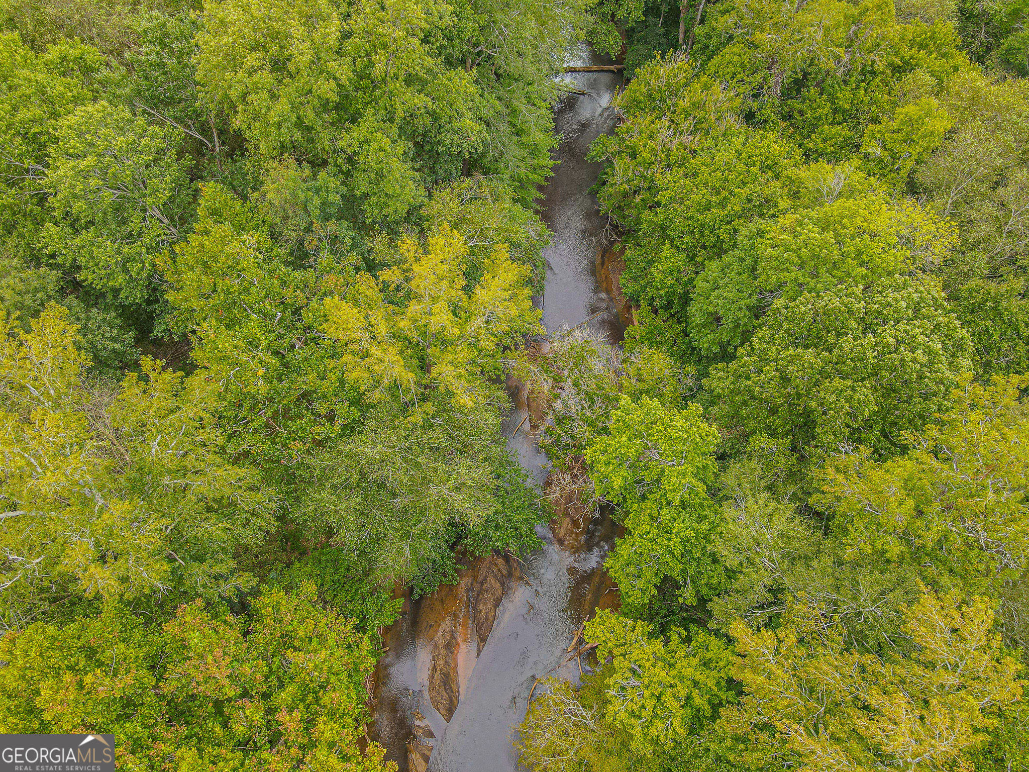 0 Freedom Lane, Unit 18B Commerce, GA 30530 - Photo 5 of 17 a view of a forest with a tree