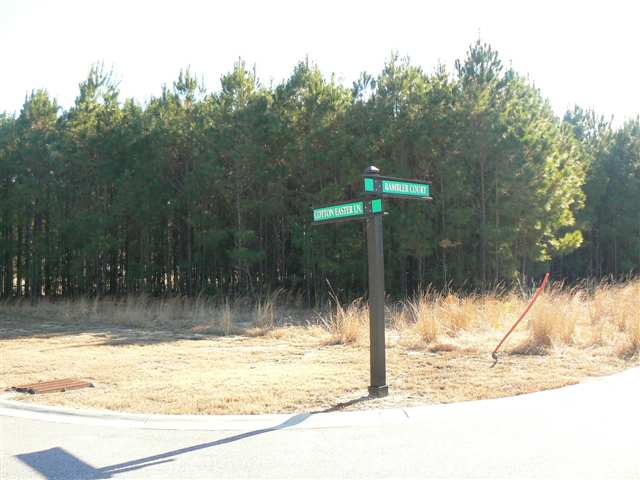 Lot 107 Rambler Court Myrtle Beach, SC 29588 - Photo 1 of 2 Gallery Image 1