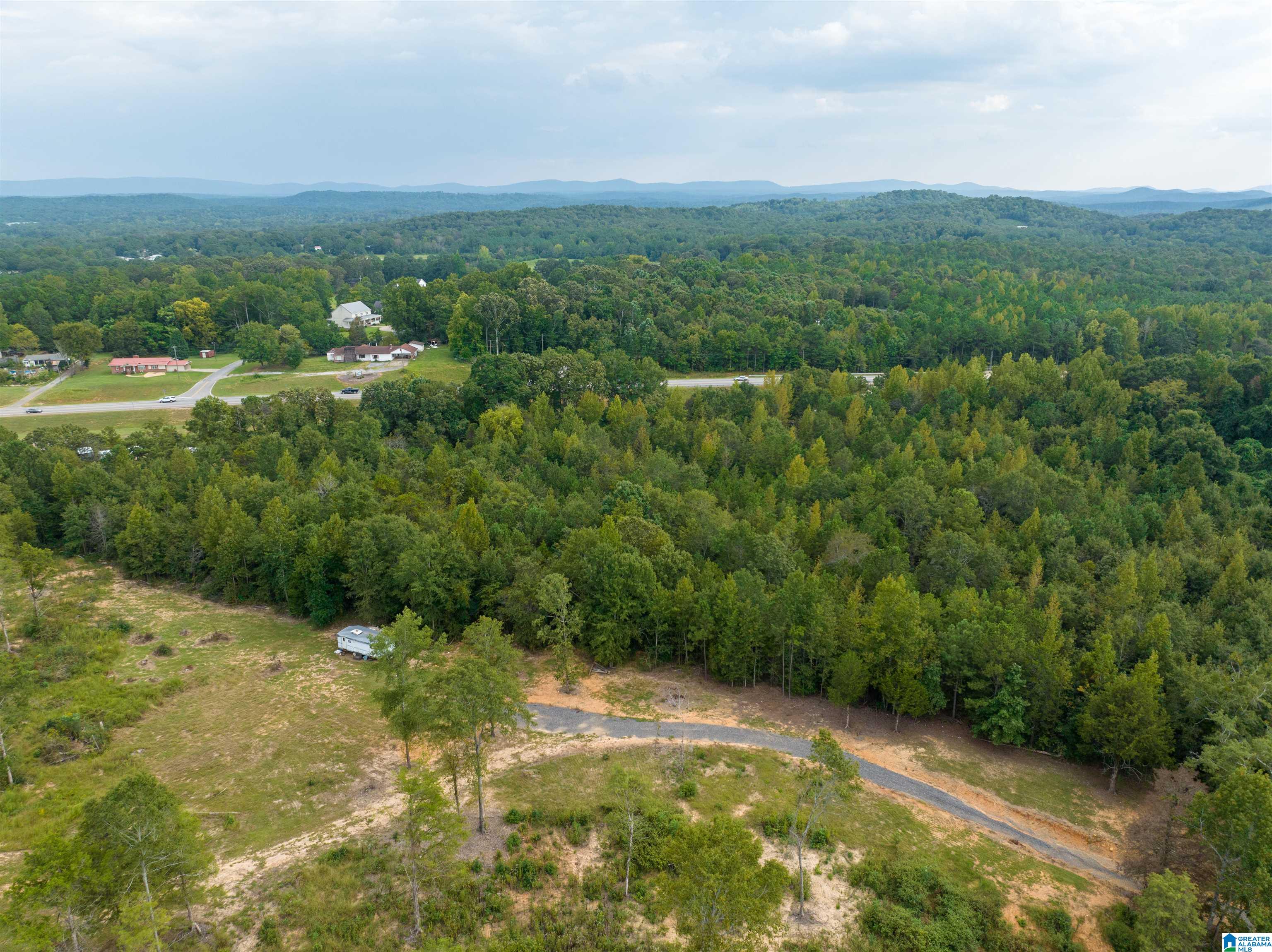0 Campbell Road Munford, AL 36268 - Photo 8 of 13