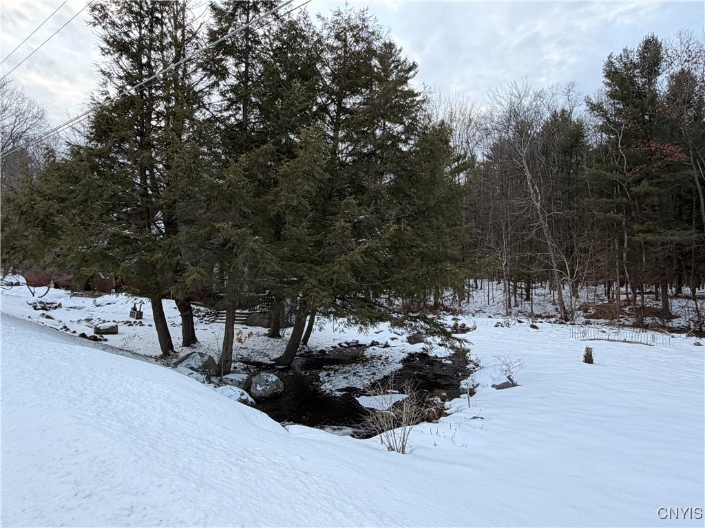 7777 Hallenbeck Road Vienna, NY 13042 - Photo 17 of 18