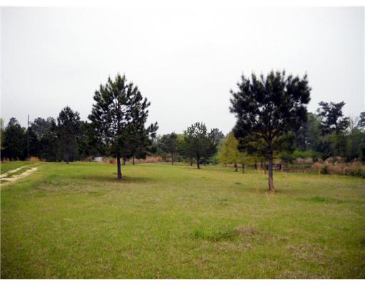 30 Allen Hill Road Tylertown, MS 39667 - Photo 1 of 8 Gallery Image 1
