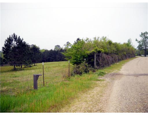 30 Allen Hill Road Tylertown, MS 39667 - Photo 2 of 8 Gallery Image 2