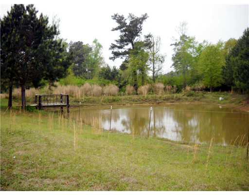 30 Allen Hill Road Tylertown, MS 39667 - Photo 3 of 8 Gallery Image 3