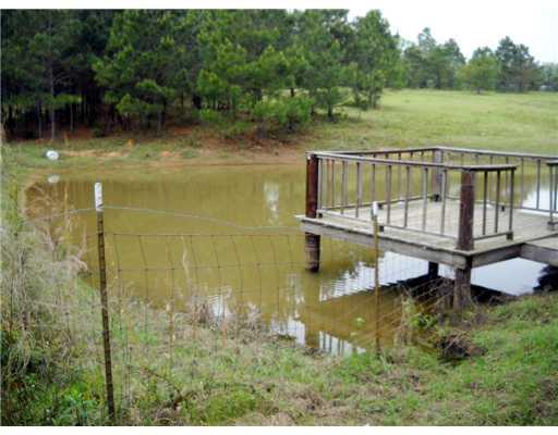 30 Allen Hill Road Tylertown, MS 39667 - Photo 4 of 8 Gallery Image 4