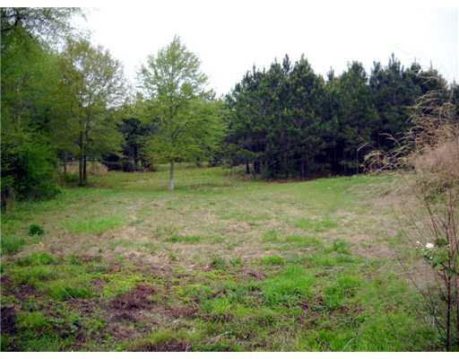 30 Allen Hill Road Tylertown, MS 39667 - Photo 6 of 8 Gallery Image 6