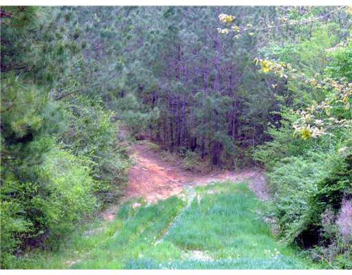 30 Allen Hill Road Tylertown, MS 39667 - Photo 7 of 8 Gallery Image 7