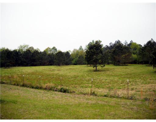 30 Allen Hill Road Tylertown, MS 39667 - Photo 8 of 8 Gallery Image 8