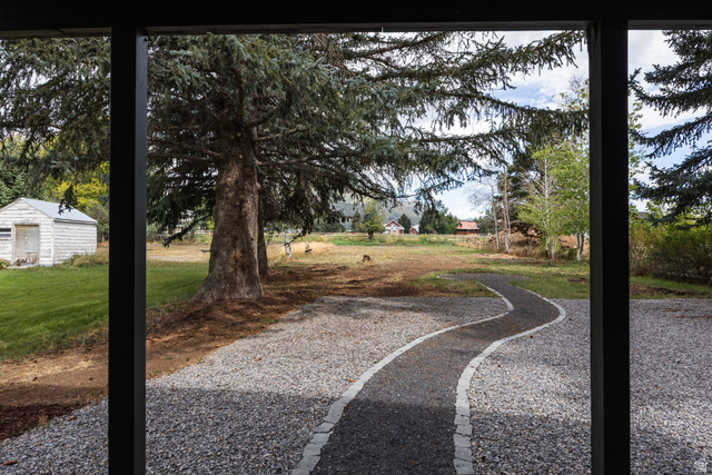 75 East 100 North Midway, UT 84049 - Photo 29 of 43 Gravel driveway with a curving pathway, mature evergreen trees, and a detached shed