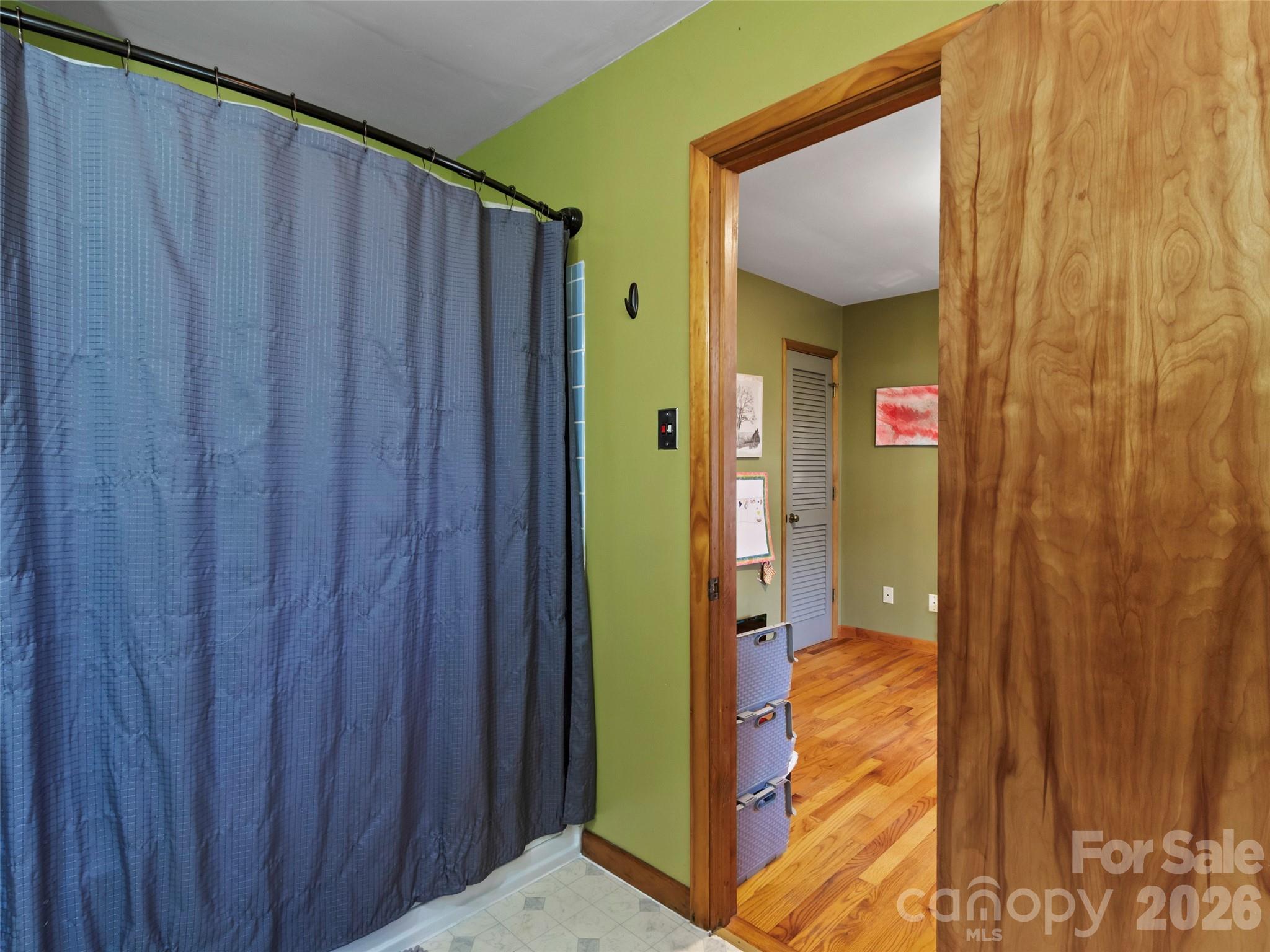 183 Stoney Fork Road Barnardsville, NC 28709 - Photo 29 of 34