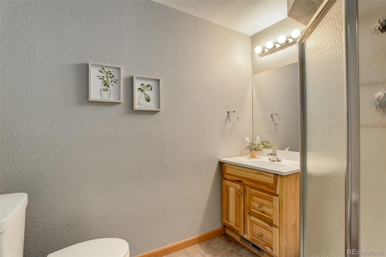 307 Hitchrack Road Bailey, CO 80421 - Photo 18 of 30 a bathroom with a sink mirror vanity and toilet