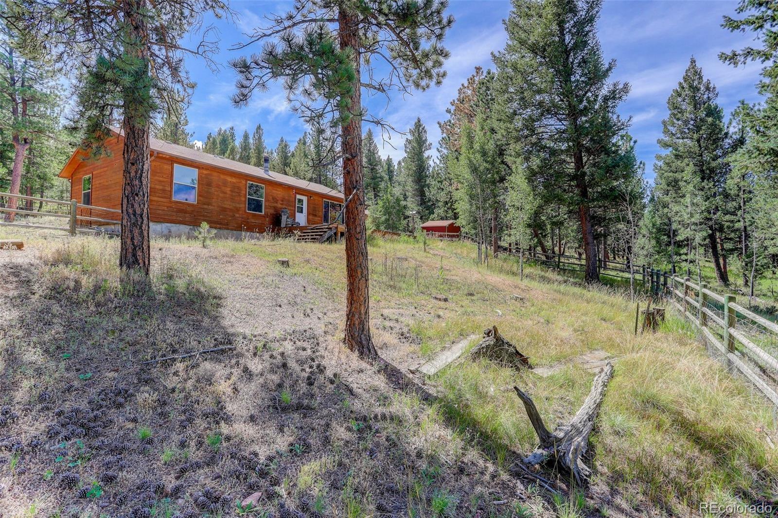 307 Hitchrack Road Bailey, CO 80421 - Photo 23 of 30 a view of a yard with a tree