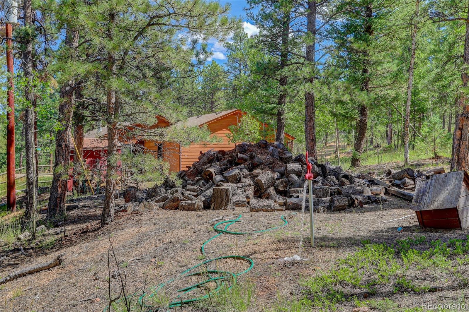 307 Hitchrack Road Bailey, CO 80421 - Photo 24 of 30 a view of a back yard of the house