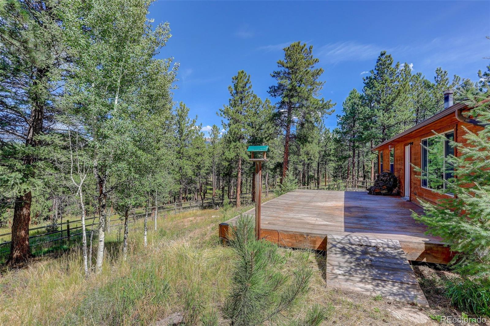 307 Hitchrack Road Bailey, CO 80421 - Photo 25 of 30 a backyard of a house with lots of green space and fountain