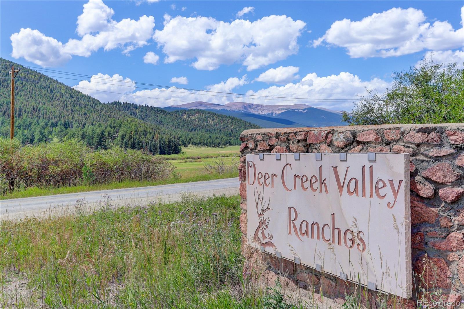 307 Hitchrack Road Bailey, CO 80421 - Photo 29 of 30 a view of a park along with trees