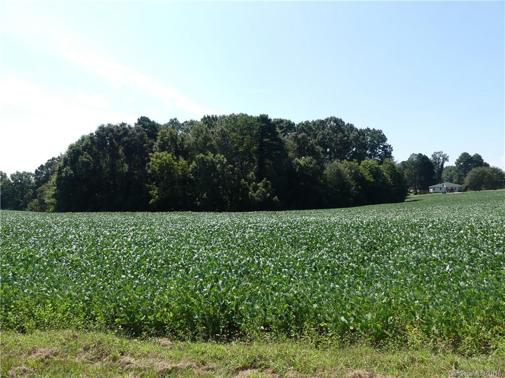 0 Jess Hord Road Cherryville, NC 28021 - Photo 3 of 16 Gallery Image 3