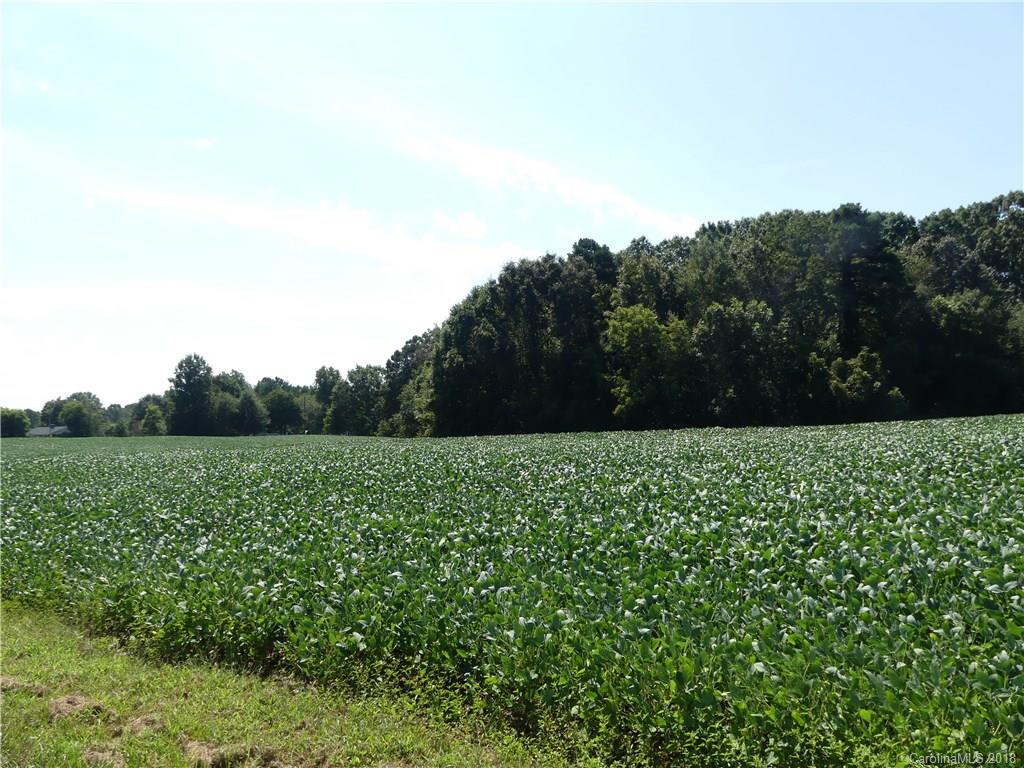 0 Jess Hord Road Cherryville, NC 28021 - Photo 8 of 16 Gallery Image 8