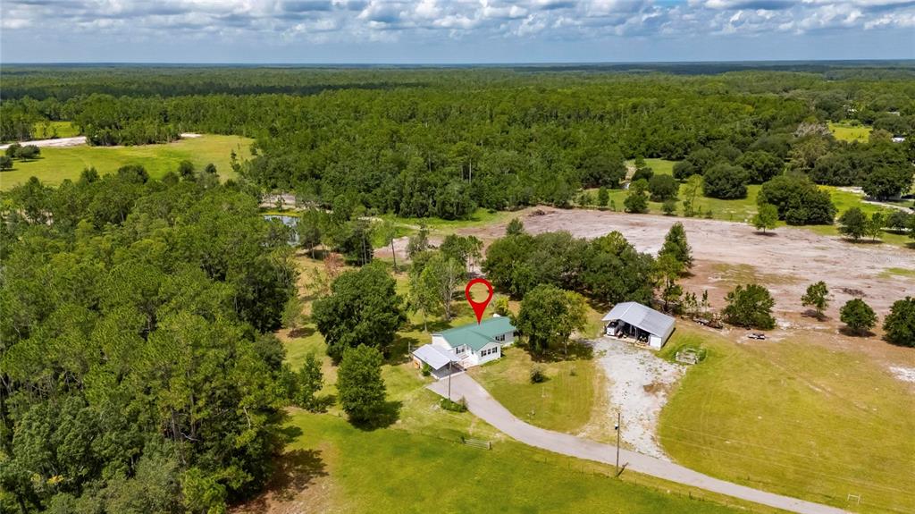 6250 Green Pond Road Polk City, FL 33868 - Photo 79 of 96