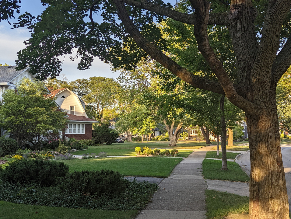 170 South Delaplaine Road Riverside, IL 60546 - Photo 40 of 55 a view of park with large trees