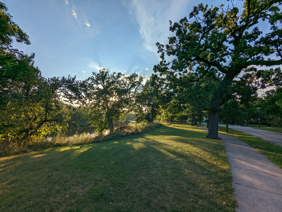 170 South Delaplaine Road Riverside, IL 60546 - Photo 55 of 55 a big yard with lots of green space and trees