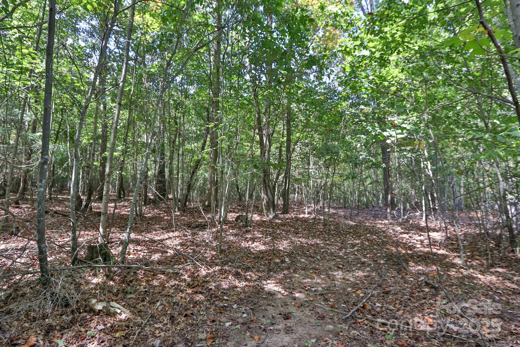 Lot 5-6 Money Road Dobson, NC 27017 - Photo 8 of 21 Gallery Image 8