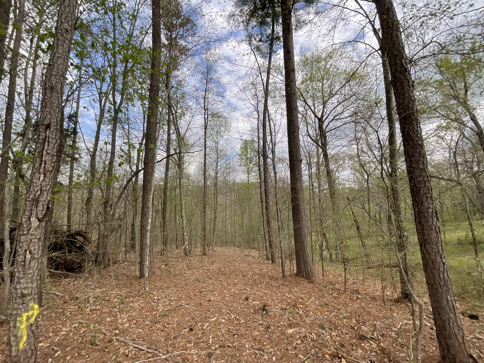 1127 Herman Adams Road Cumberland City, TN 37050 - Photo 29 of 35 Gallery Image 29