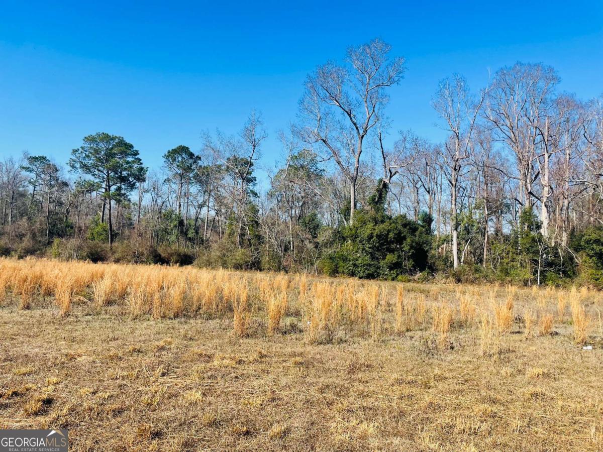 16.59-ac Rosemont Road Glennville, GA 30427 - Photo 3 of 10 a view of snow on the road