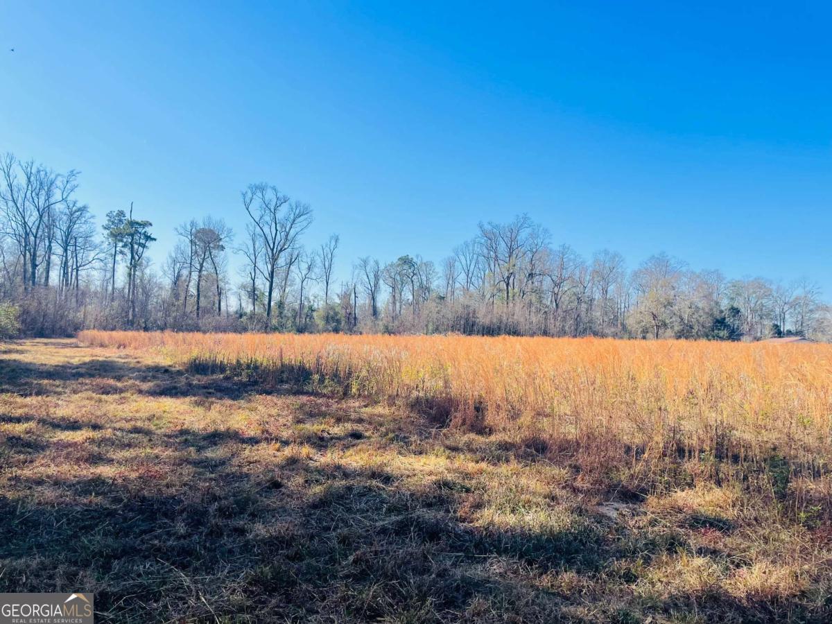 16.59-ac Rosemont Road Glennville, GA 30427 - Photo 5 of 10 a view of outdoor space and covered with trees