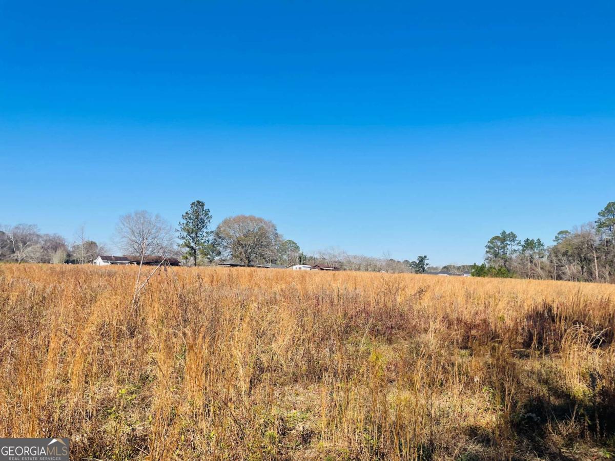 16.59-ac Rosemont Road Glennville, GA 30427 - Photo 7 of 10 a view of a lake view