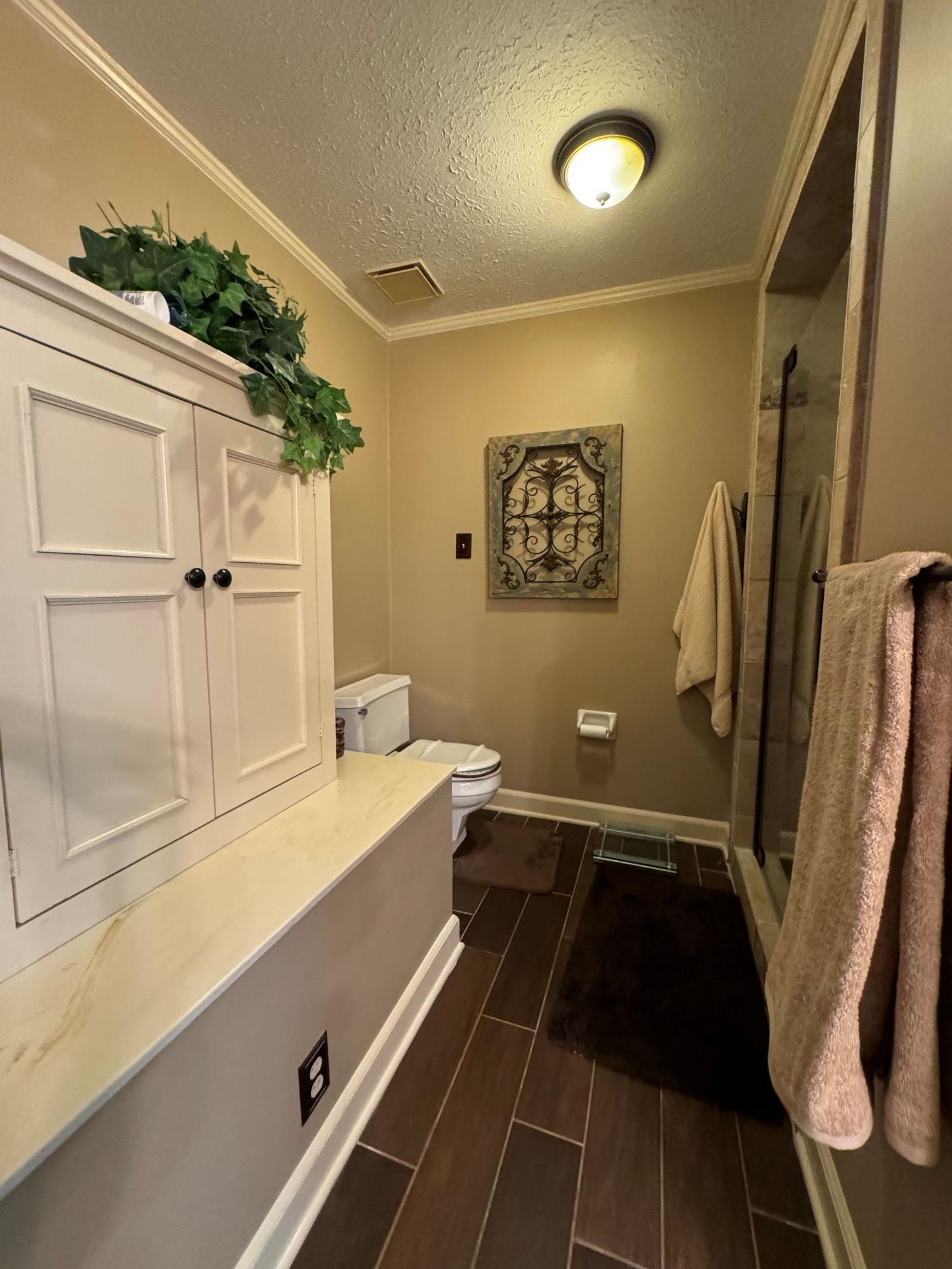 2695 Brook Bridge Cove Germantown, TN 38138 - Photo 20 of 40 Primary bath view 3 - dressing table and additional storage. Walk-in shower with glass door.