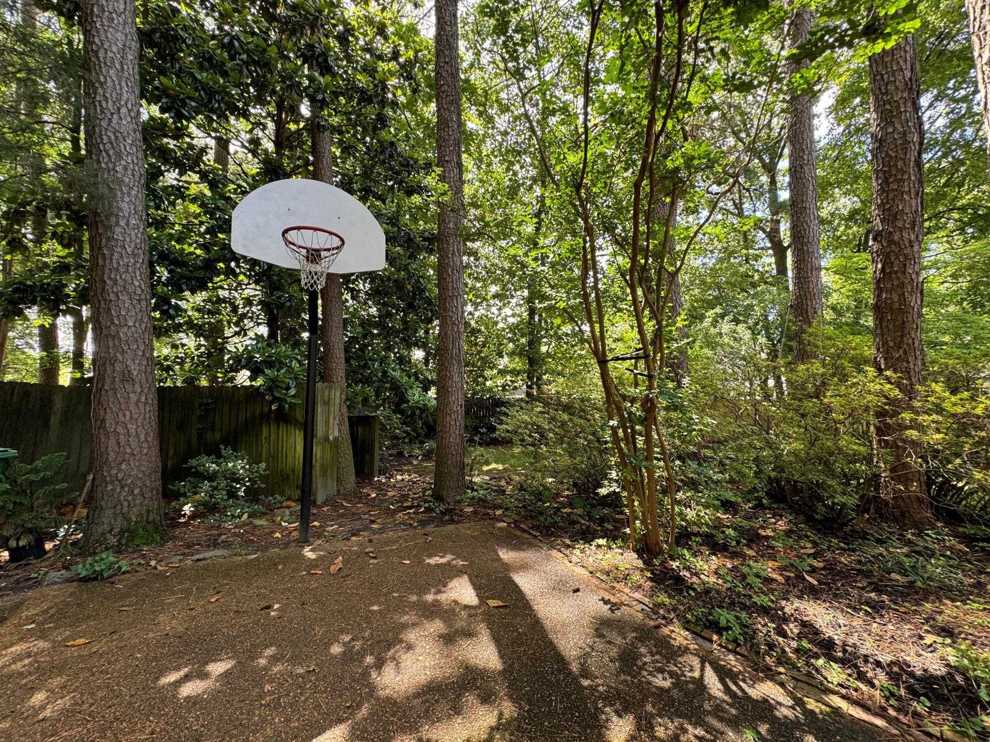 2695 Brook Bridge Cove Germantown, TN 38138 - Photo 39 of 40 Enjoy a game of basketball or have kids or grandchildren that do?!