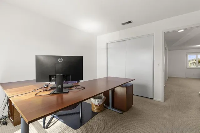 a view of a yard with plants and trees