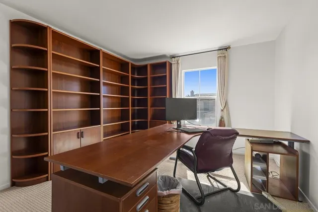 a view of a park with palm trees