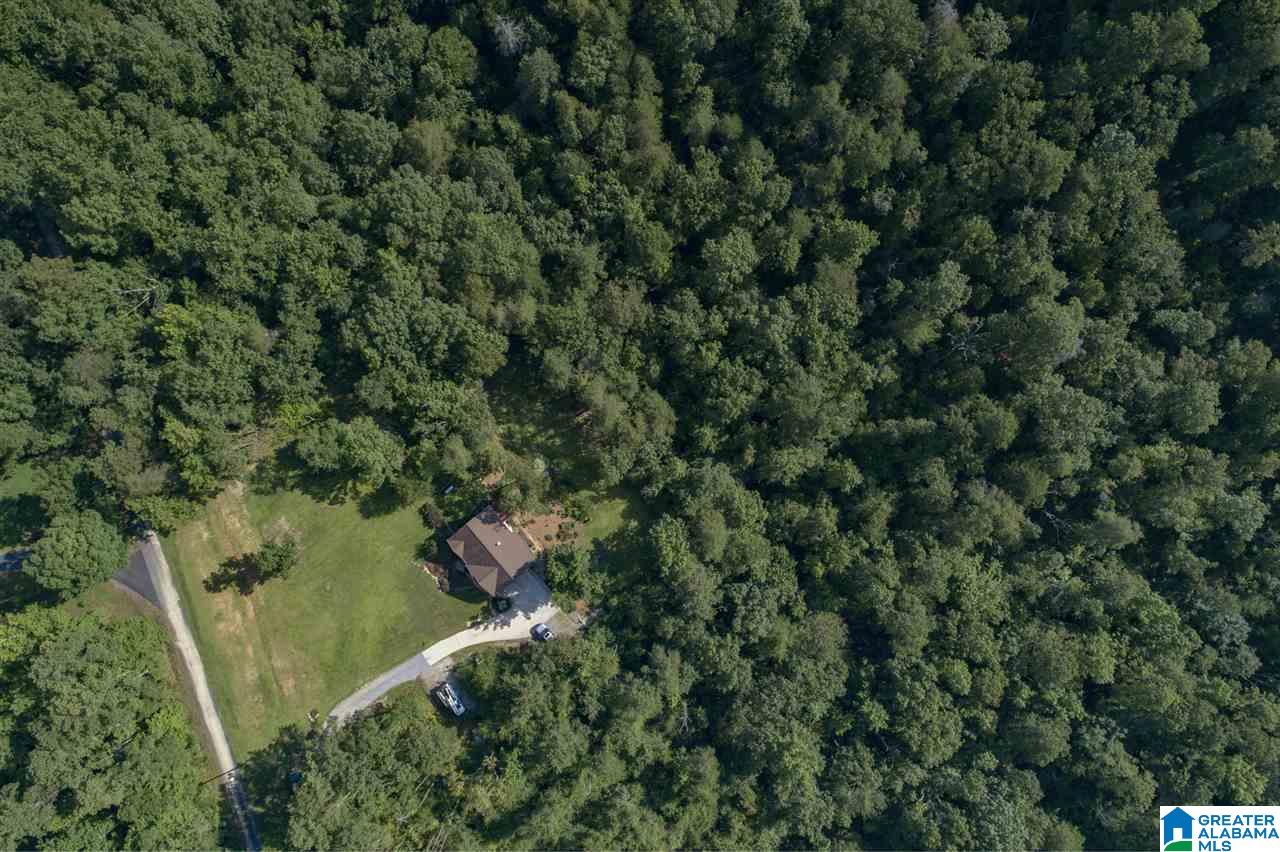 2277 Mt View Road Hayden, AL 35079 - Photo 39 of 46