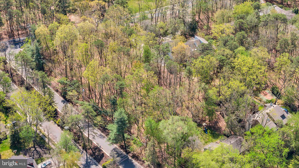 95 Kresson - Gibbsboro Road Voorhees, NJ 08043 - Photo 14 of 15 a view of a tree