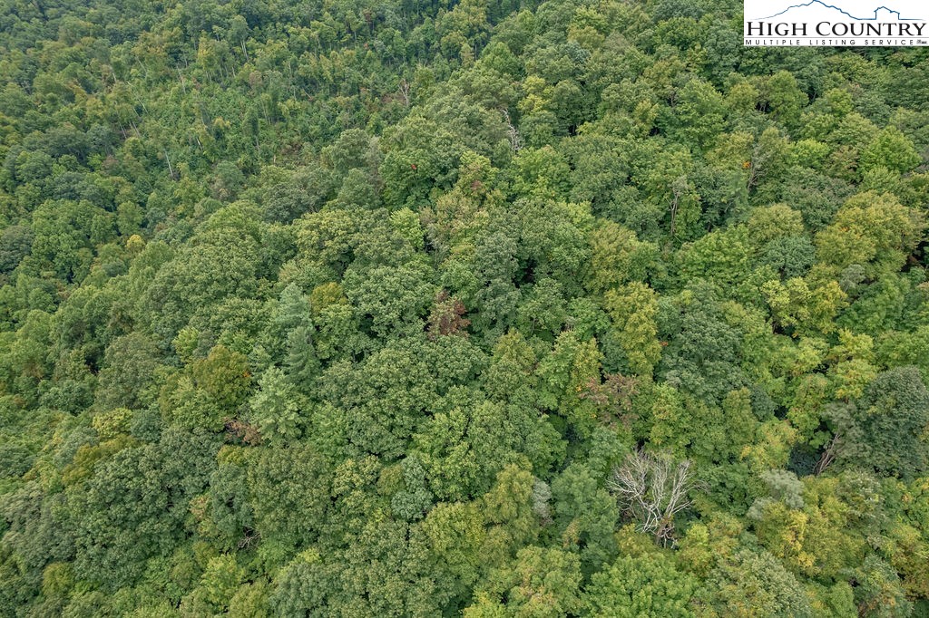 Jakes Mountain Road Boone, NC 28607 - Photo 5 of 11 Gallery Image 5