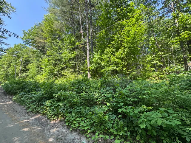 $20,000 | Lot 73 Lone Indian Trail, Augusta, ME 04330