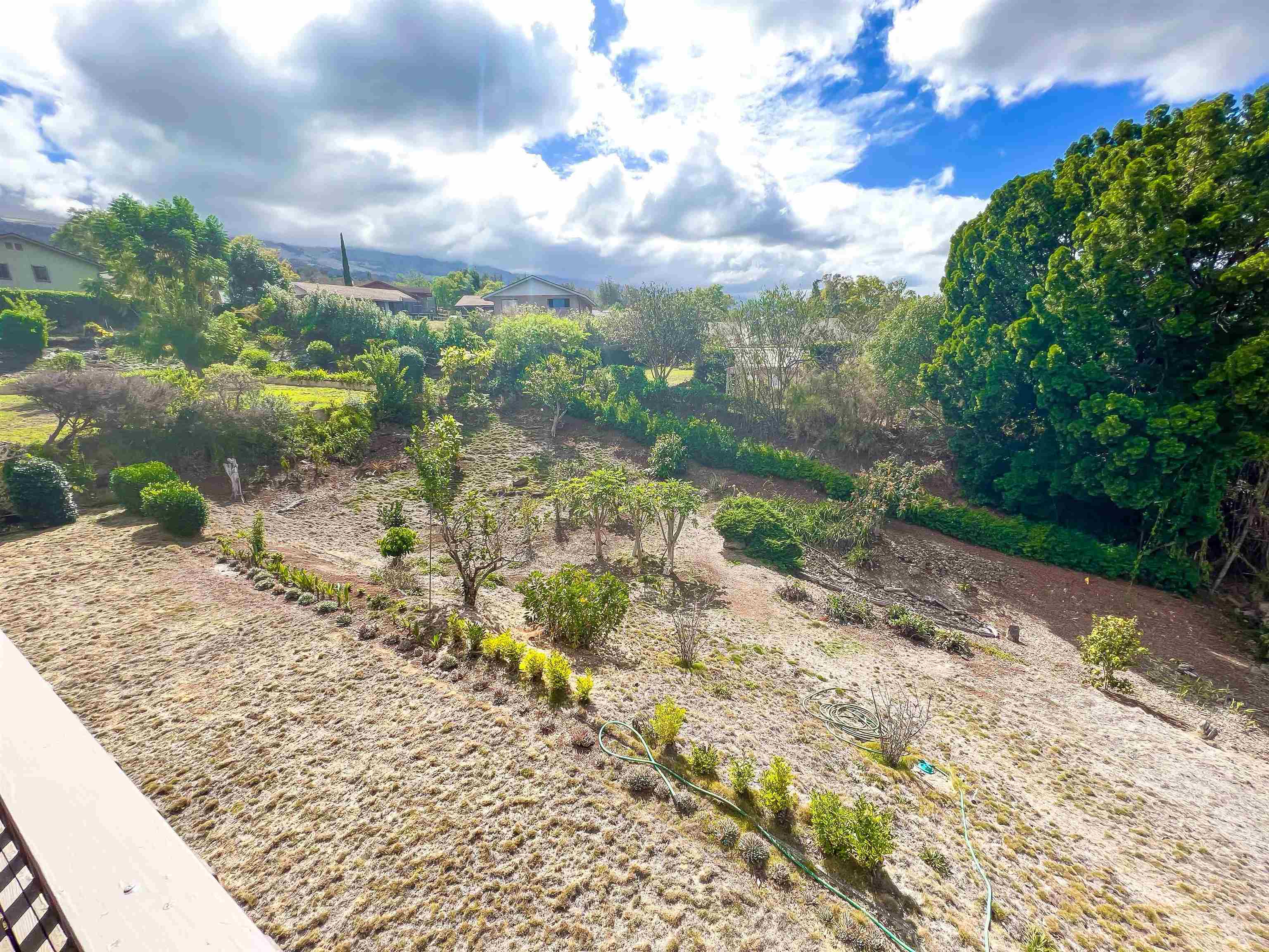 76 Mano Drive Kula, HI 96790 - Photo 10 of 30 a view of a yard with plants and wooden fence