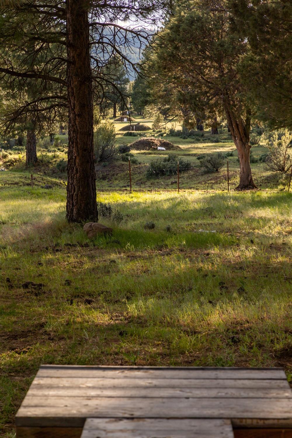 5121 Round Lake Road Klamath Falls, OR 97601 - Photo 21 of 28 Set up for private shooting range practi