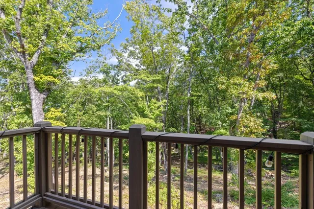 a view of a lush green forest with lush green forest and trees