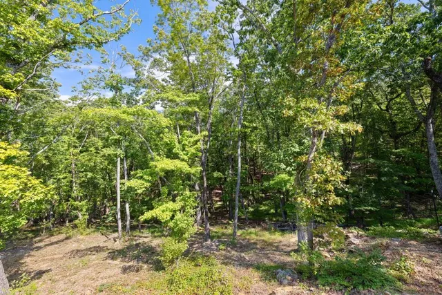 a view of a lake with chairs