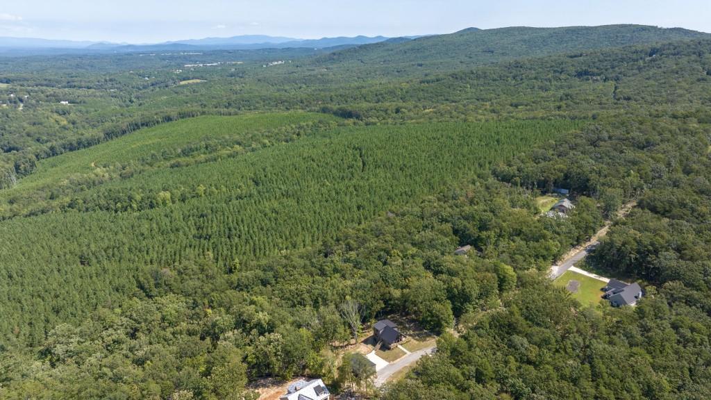 356 Mulberry Circle Jasper, GA 30143 - Photo 47 of 58