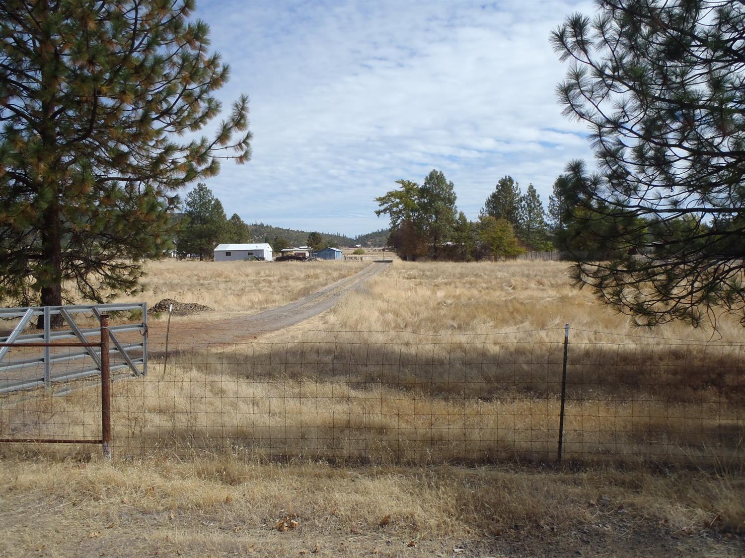 15700 Jones Road White City, OR 97503 - Photo 1 of 24 Primary Photo