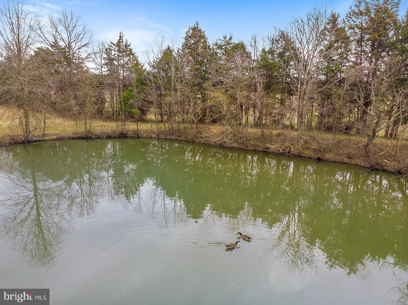 8747 Meetze Road Warrenton, VA 20187 - Photo 37 of 38 Gallery Image 37