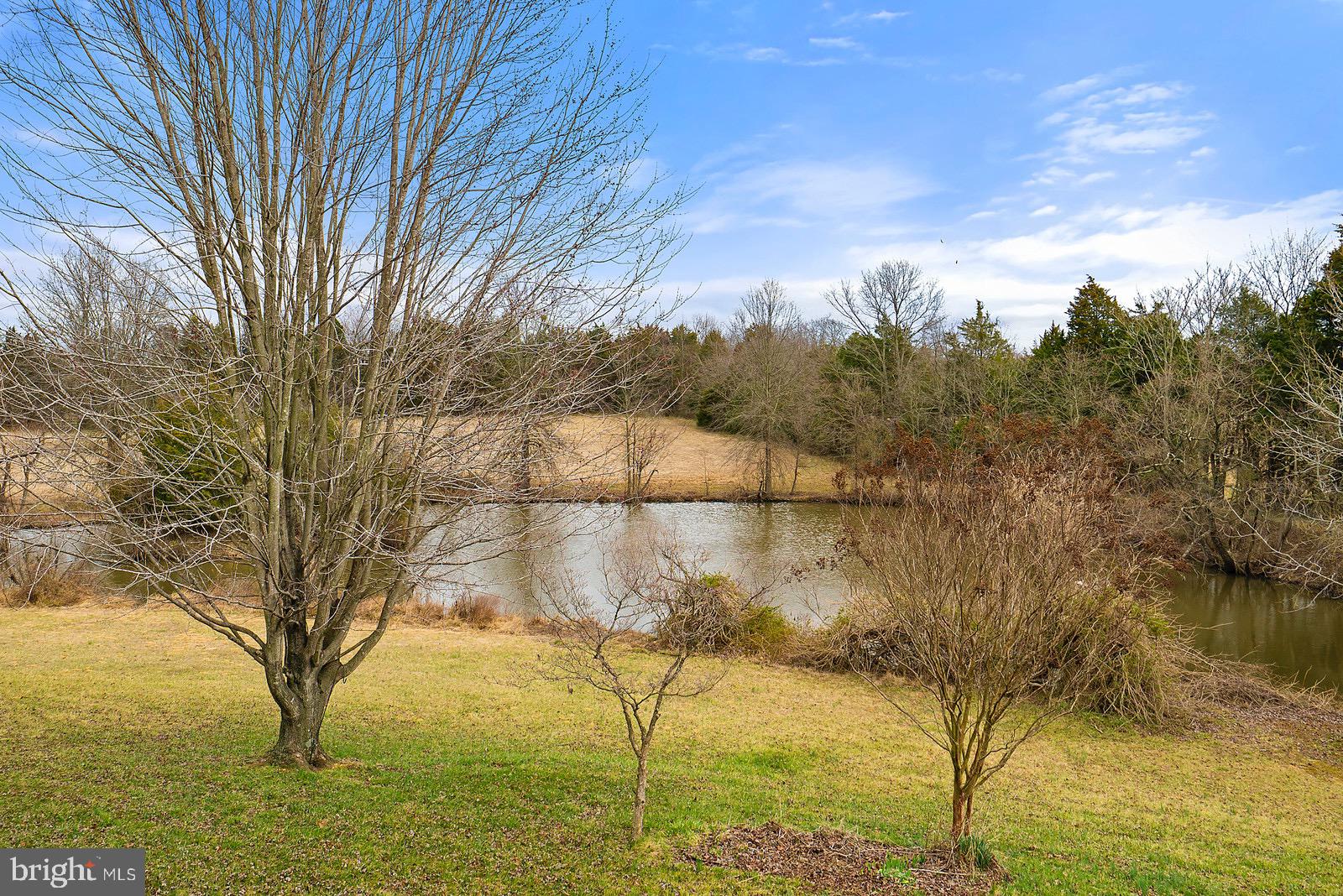 Pond on property