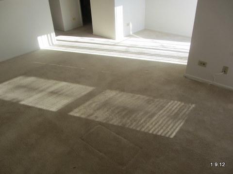 2342 South Goebbert Road, Unit 2077 Arlington Heights, IL 60005 - Photo 7 of 15