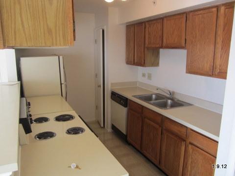 2342 South Goebbert Road, Unit 2077 Arlington Heights, IL 60005 - Photo 8 of 15